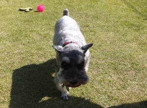 2014_101510-15めいちゃん