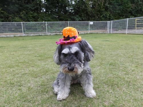 2014_100410-4メーテル