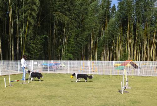 2014_101510-15リオジャック