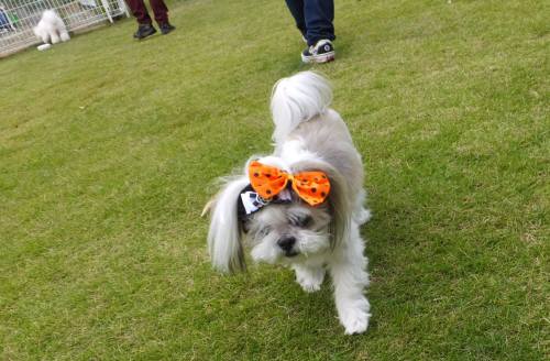 2014_100410-3らんちゃん