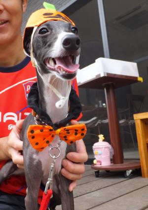 2014_100410-3バース1