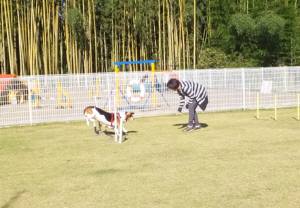 2014_102810-25まろん１