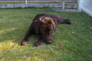 2014_102710-24ララ２