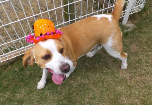 2014_100410-3ムサシ