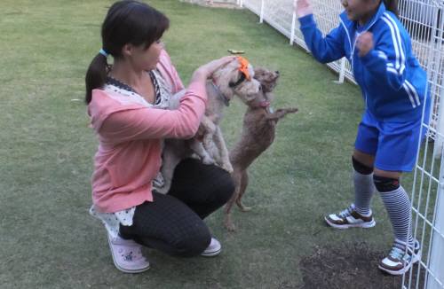 2014_100810-8ももふう