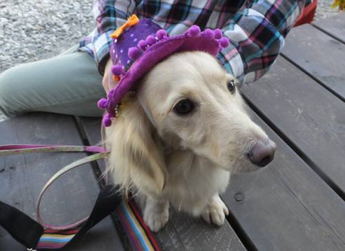 2014_101910-19はなちゃん