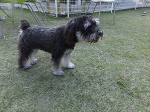 2014_101910-19らっく