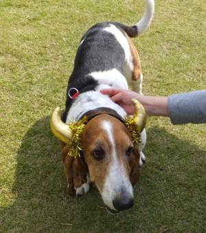 2014_100810-8マロン角