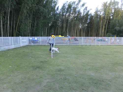 2014_101410-14チャッピー