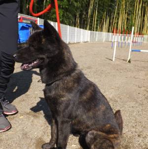 2014_102510-22さくら