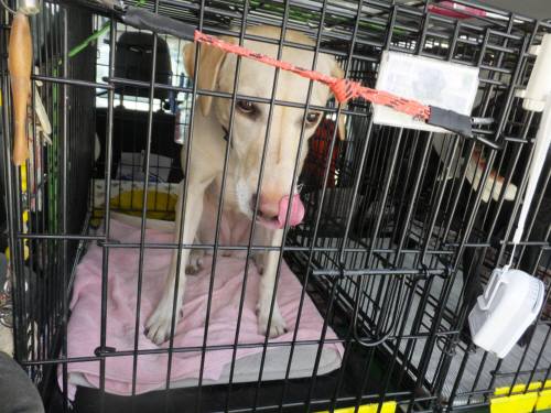 2014_100710-7なっちゃん