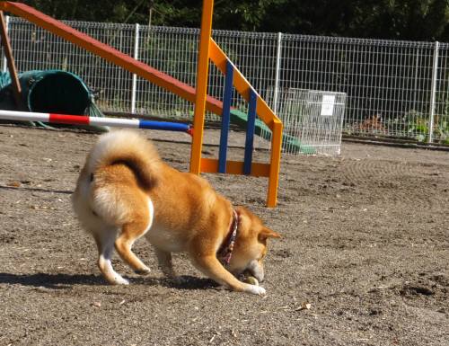 2014_102510-22太郎くん