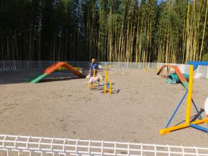 2014_101710-1なっちゃん