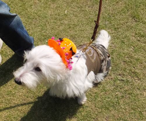 2014_100810-8ももちゃん