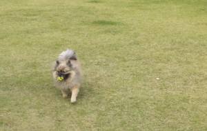 2014_102110-20ぽん2