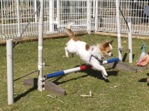 2014_102910-26くう