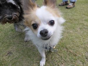 2014_101910-19くうちゃん