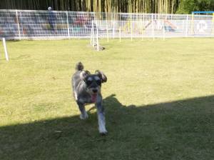 2014_101710-1まるちゃん１