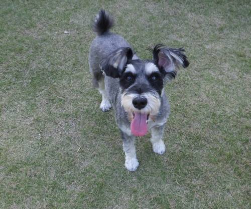 2014_100310-2まるちゃん