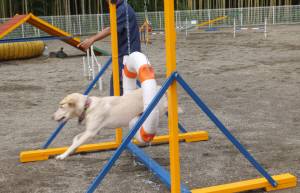 2014_102110-20なっつ2