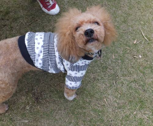 2014_102610-23カール