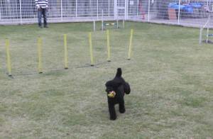 2014_101210-12もぐ