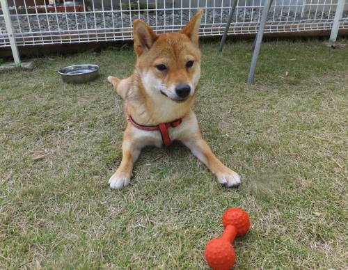 2014_102610-23マロン