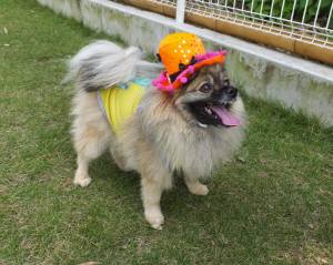 2014_100810-8ポンちゃん