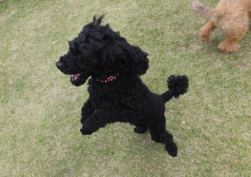 2014_100110-1ウルー