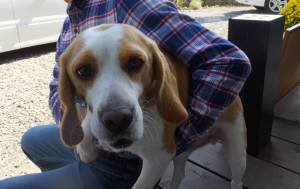 2014_101110-11むさし