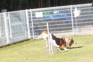 2014_102810-25まろん３