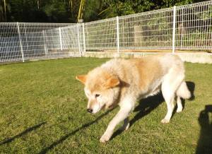 2014_101410-14レア