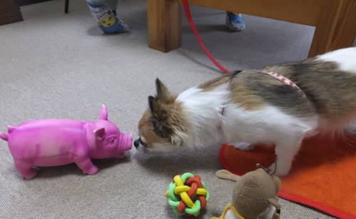 2014_101510-15はる2