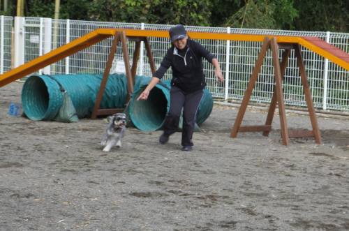 2014_102510-22マーヤ