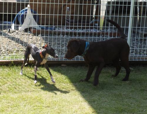 2014_100310-2バースララ