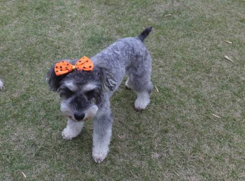 2014_100410-4マーヤ