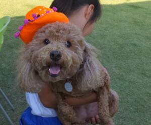 2014_100810-8モモちゃん