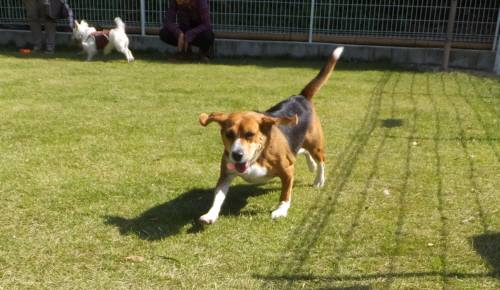 2014_101510-15リープ