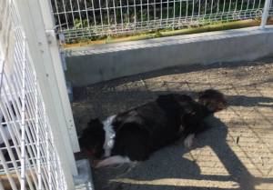 2014_101910-19しゅう