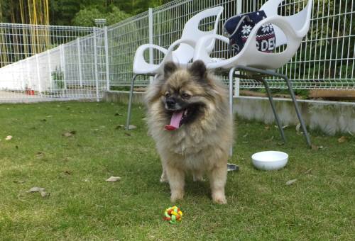 2014_100110-1ポンちゃん1