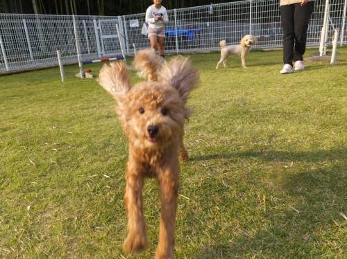 2014_102410-21もも