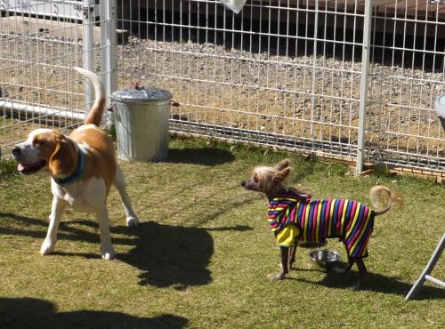 2014_101910-19ケンちゃん