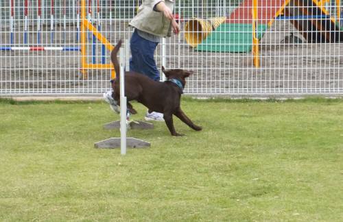 2014_102110-20ララちゃん