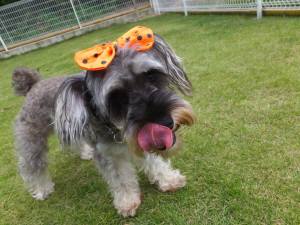 2014_100410-3ラック