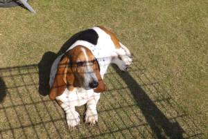 2014_101710-1マロン2