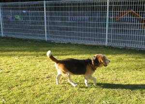 2014_101410-14ルイ