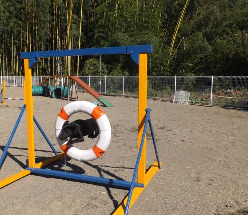 2014_102910-26はるちゃん