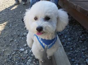 2014_101910-19タッキー