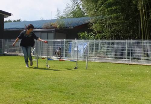 2014_100310-2バースジャンプ