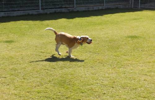 2014_101910-19ムサシ